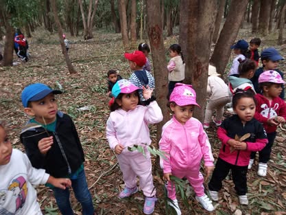 Activité Foret