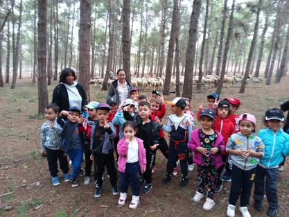 Activité Foret