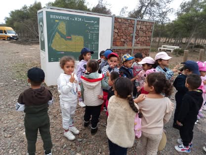Activité Foret